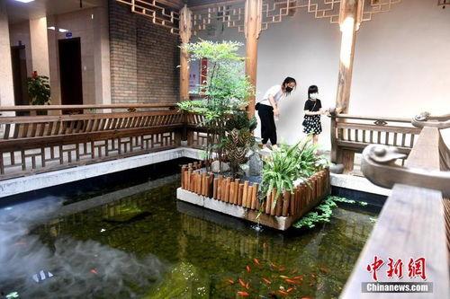 海南网红的打卡点,探寻热带风情新地标